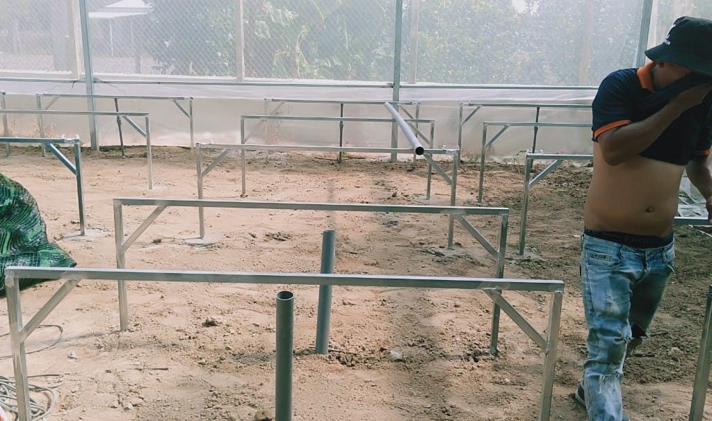 Thi công 500 m² trồng thủy canh tại Đức Hòa, Long An