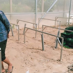 thi-cong-500m2-trong-thuy-canh-tai-duc-hoa-long-an-3