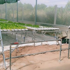 thi-cong-500m2-trong-thuy-canh-tai-duc-hoa-long-an-4