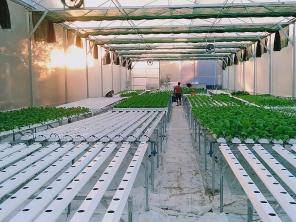 thi-cong-500m2-trong-thuy-canh-tai-duc-hoa-long-an-5