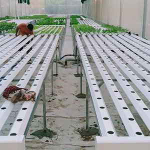 thi-cong-500m2-trong-thuy-canh-tai-duc-hoa-long-an-6