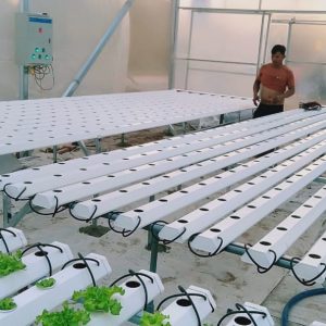 thi-cong-500m2-trong-thuy-canh-tai-duc-hoa-long-an-7