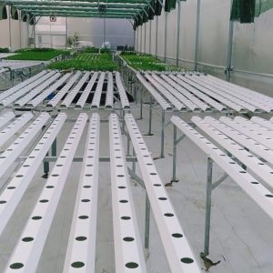 thi-cong-500m2-trong-thuy-canh-tai-duc-hoa-long-an-8