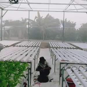 thi-cong-500m2-trong-thuy-canh-tai-duc-hoa-long-an-9