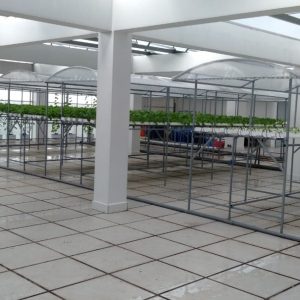 thi-cong-500m2-trong-tren-san-thuong-cho-so-khcn-tinh-long-an-13