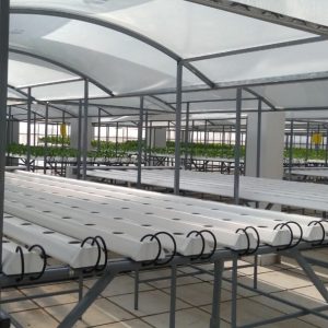 thi-cong-500m2-trong-tren-san-thuong-cho-so-khcn-tinh-long-an-15