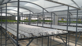 thi-cong-500m2-trong-tren-san-thuong-cho-so-khcn-tinh-long-an-15