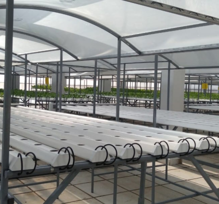 thi-cong-500m2-trong-tren-san-thuong-cho-so-khcn-tinh-long-an-15