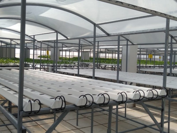 thi-cong-500m2-trong-tren-san-thuong-cho-so-khcn-tinh-long-an-15