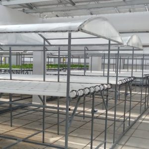 thi-cong-500m2-trong-tren-san-thuong-cho-so-khcn-tinh-long-an-17