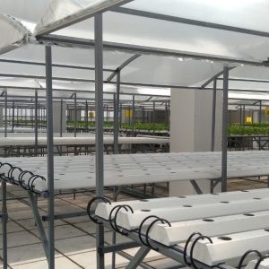 thi-cong-500m2-trong-tren-san-thuong-cho-so-khcn-tinh-long-an-18