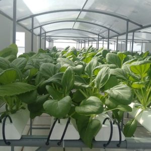 thi-cong-500m2-trong-tren-san-thuong-cho-so-khcn-tinh-long-an-21