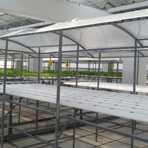 thi-cong-500m2-trong-tren-san-thuong-cho-so-khcn-tinh-long-an-23