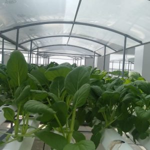 thi-cong-500m2-trong-tren-san-thuong-cho-so-khcn-tinh-long-an-26