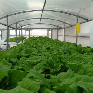 thi-cong-500m2-trong-tren-san-thuong-cho-so-khcn-tinh-long-an-29