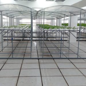 thi-cong-500m2-trong-tren-san-thuong-cho-so-khcn-tinh-long-an-31