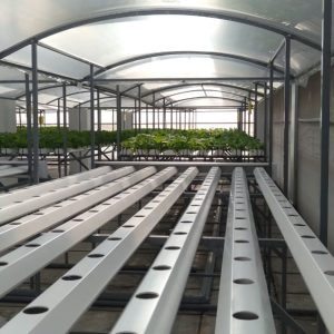 thi-cong-500m2-trong-tren-san-thuong-cho-so-khcn-tinh-long-an-32