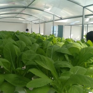 thi-cong-500m2-trong-tren-san-thuong-cho-so-khcn-tinh-long-an-36