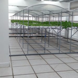 thi-cong-500m2-trong-tren-san-thuong-cho-so-khcn-tinh-long-an-37