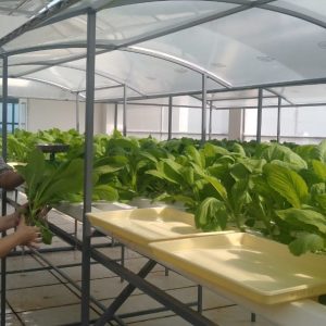 thi-cong-500m2-trong-tren-san-thuong-cho-so-khcn-tinh-long-an-38