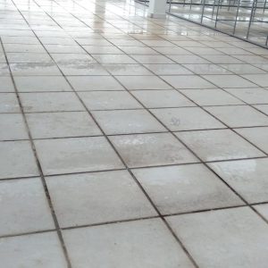 thi-cong-500m2-trong-tren-san-thuong-cho-so-khcn-tinh-long-an-45