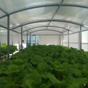 thi-cong-500m2-trong-tren-san-thuong-cho-so-khcn-tinh-long-an-46